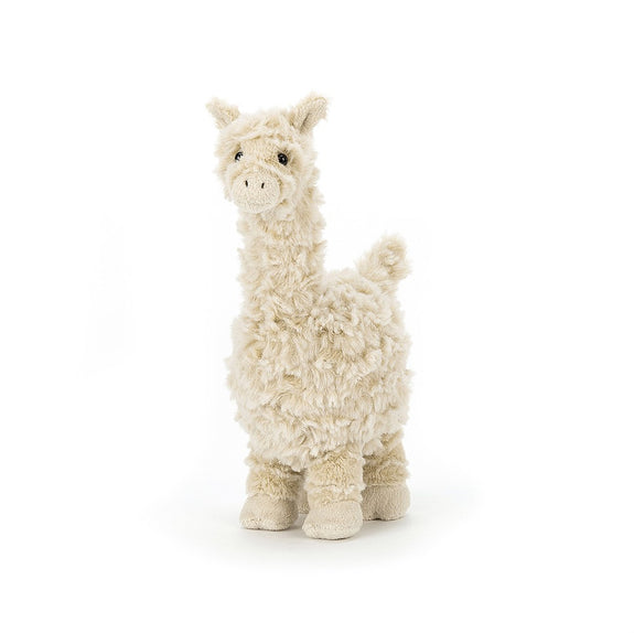 Lars Llama Little