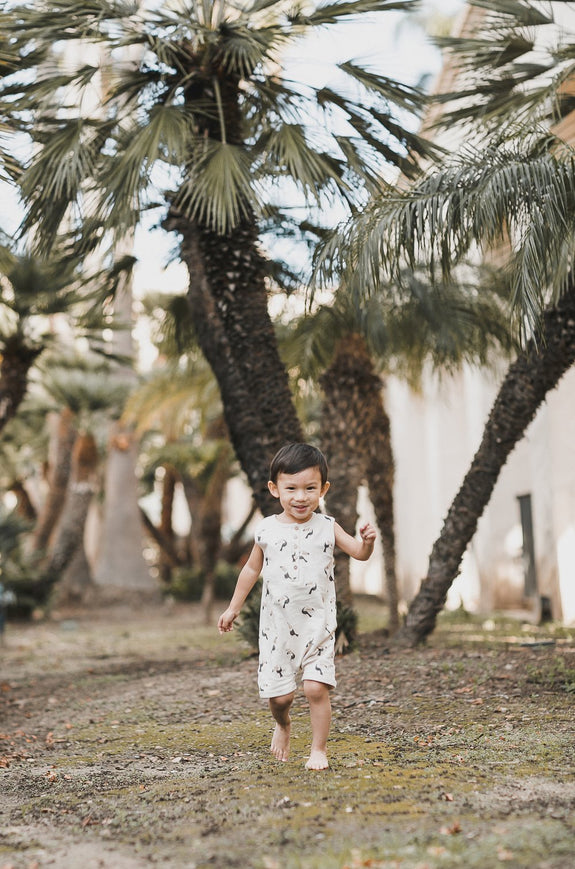 Rylee Toucan Davis Romper Cloud