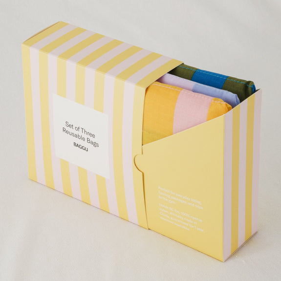 Standard Baggu Set of Three Leisure Stripes