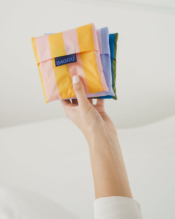 Standard Baggu Set of Three Leisure Stripes