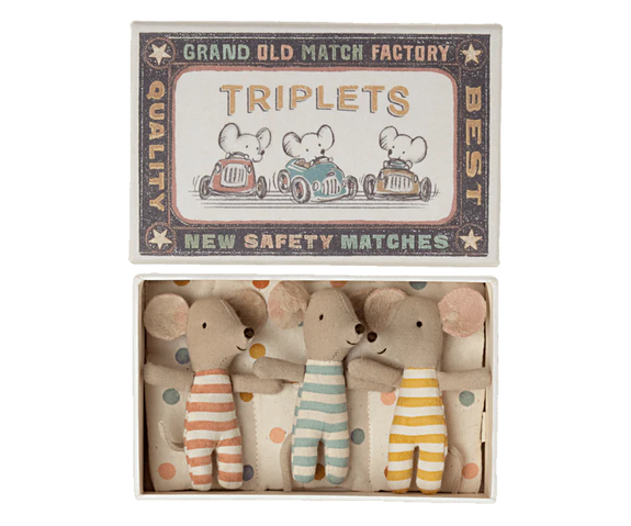 Baby Triplets in Box