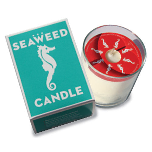 Swedish Dream Seaweed Candle