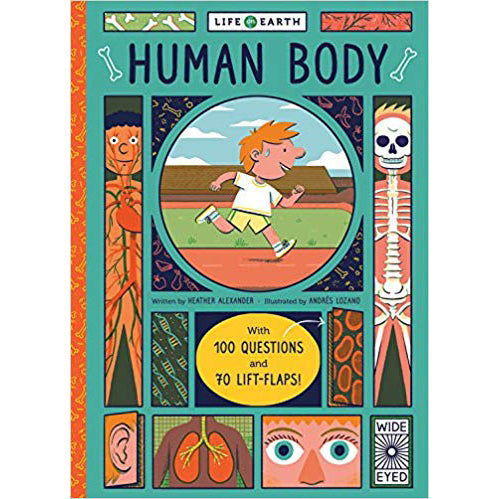 Life on Earth: Human Body: With 100 Questions and 70 Lift-flaps!