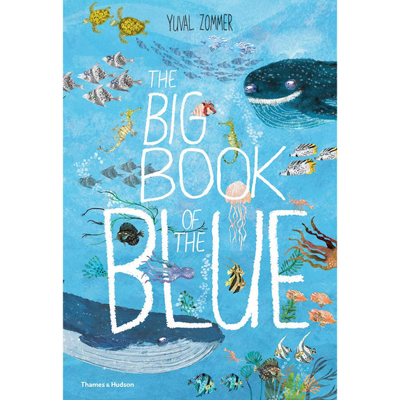 The Big Book of Blue by Yuval Zommer