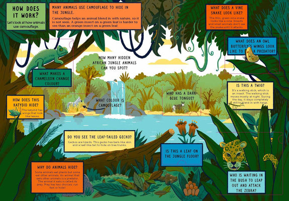Life On Earth: Jungle: With 100 Questions and 70 Lift-flaps
