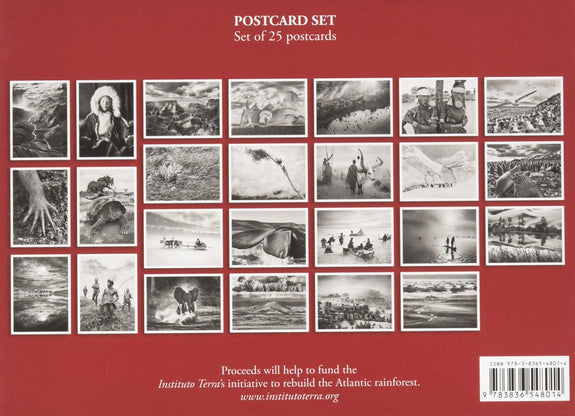 Genesis Postcard Set