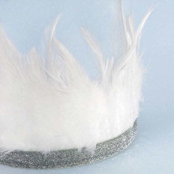 Feather Party/Dress-up Crown