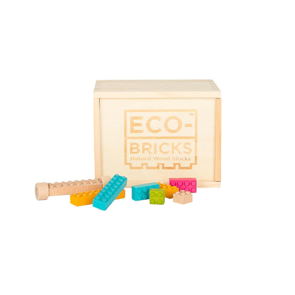 Eco Bricks 54 Pieces Color