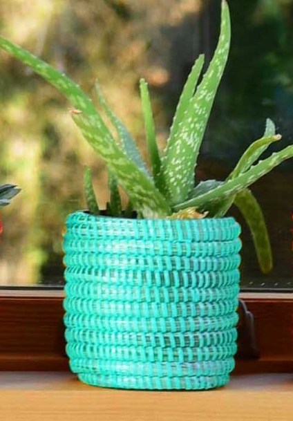 Small Succulent Basket - Various