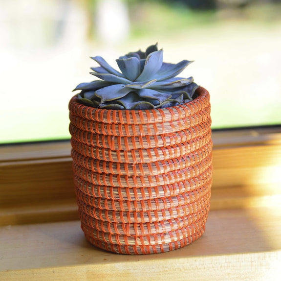 Small Succulent Basket - Various